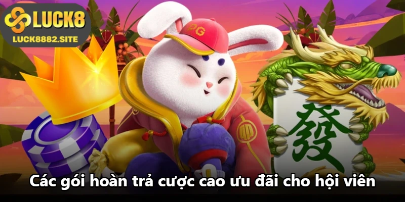 Các gói hoàn trả cược cao ưu đãi cho hội viên