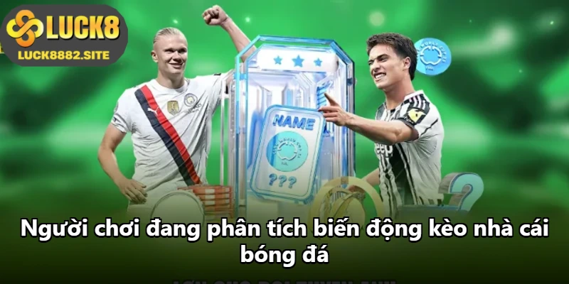 Người chơi đang phân tích biến động kèo nhà cái bóng đá
